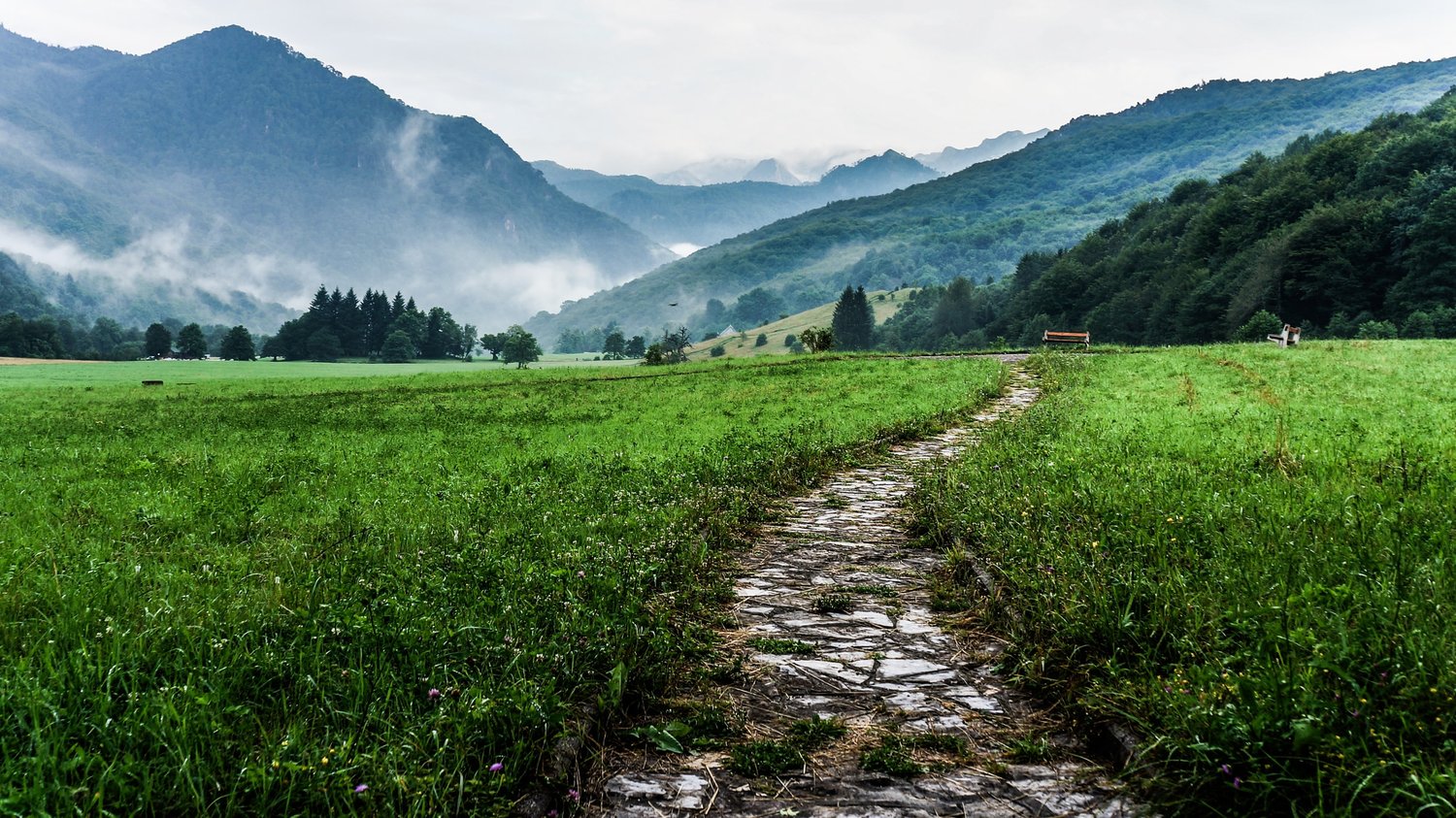 peaceful-road