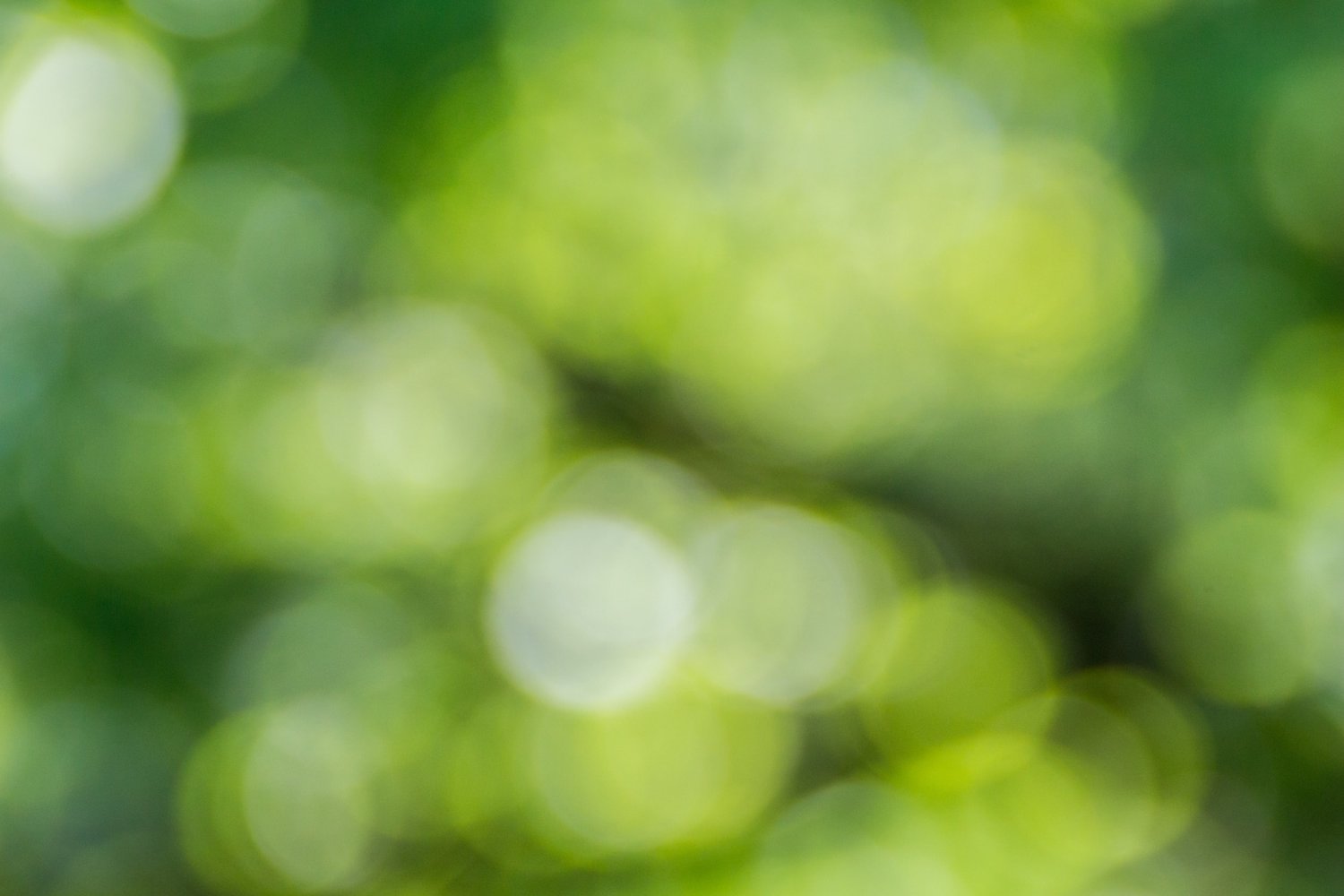 blurred-green